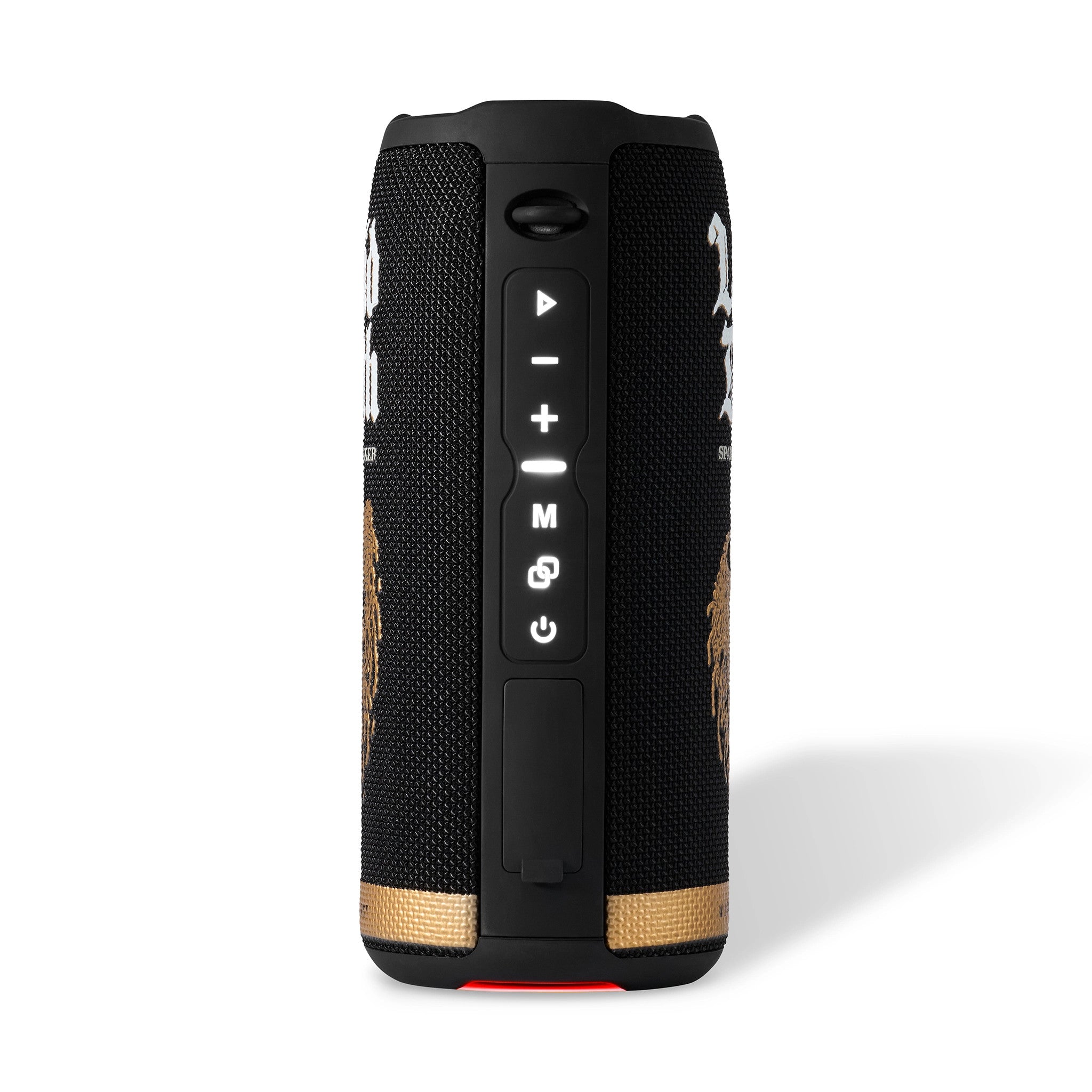 Alternative view of Sparkling Speaker